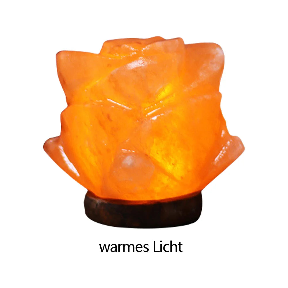 Himalayan Salt Lamp Crystal Rock Light